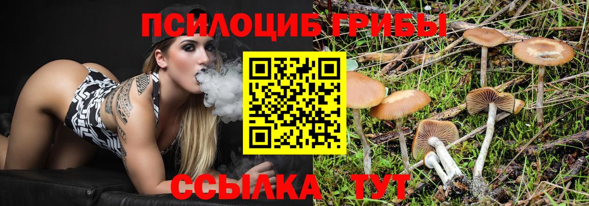 Белореченск  Псилоцибиновые грибы прущие грибы  Вход с VPN  магазин    Галлюциногенные грибы Psilocybe 